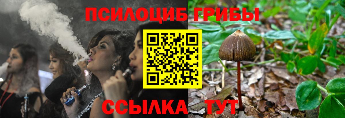Псилоцибиновые грибы GOLDEN TEACHER Семёнов