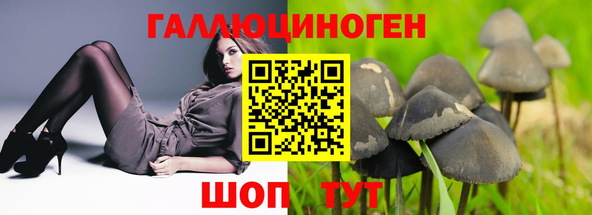 Псилоцибиновые грибы MAGIC MUSHROOMS  Вход с VPN  Галлюциногенные грибы Psilocybine cubensis  Семёнов 